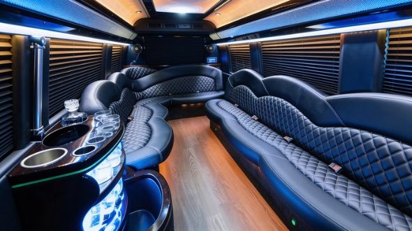 boise sprinter limousine interior