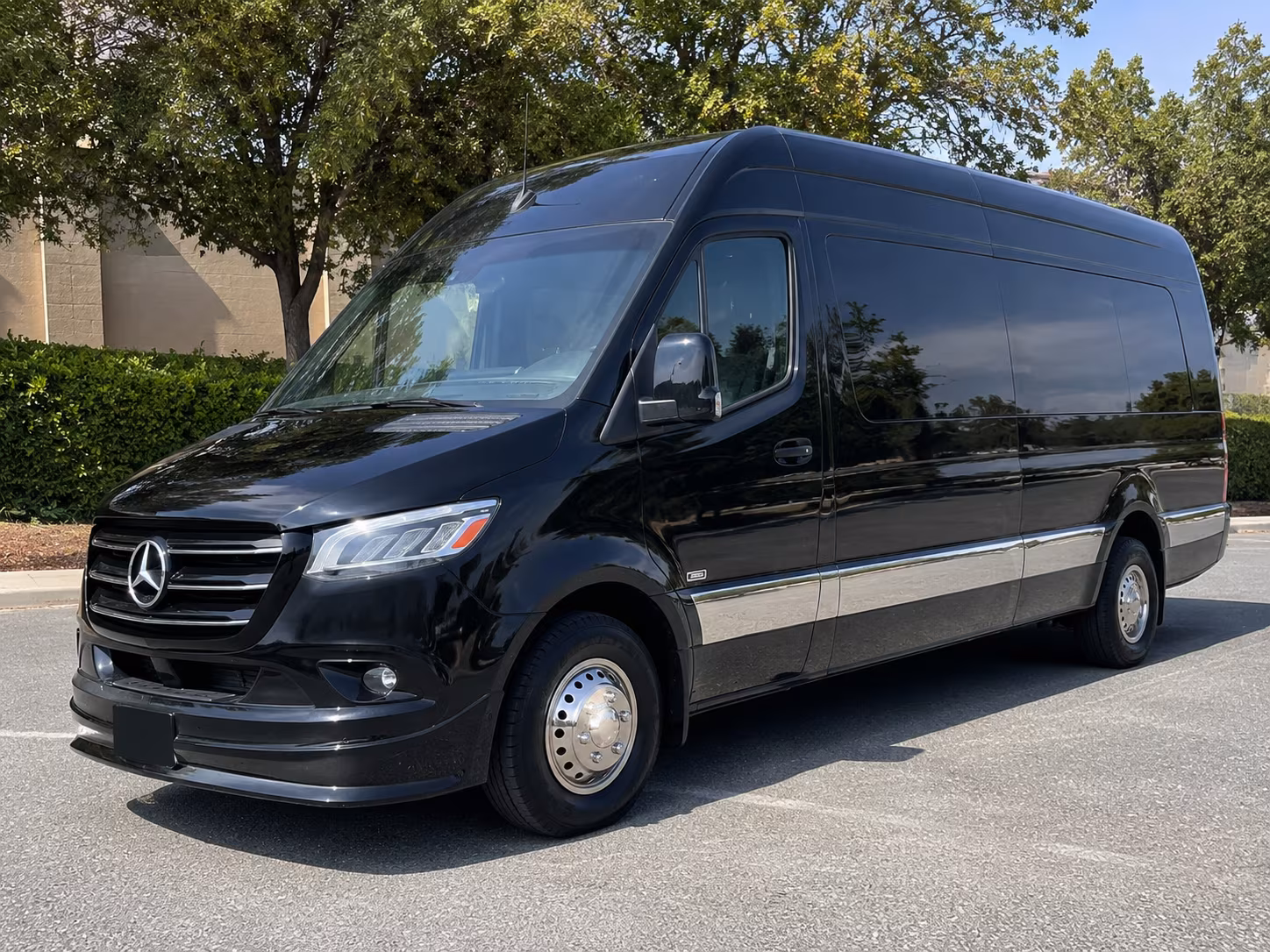 boise 10 passenger sprinter van