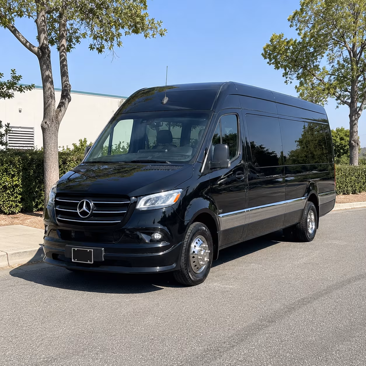 find the perfect transportation for your next birthday 1